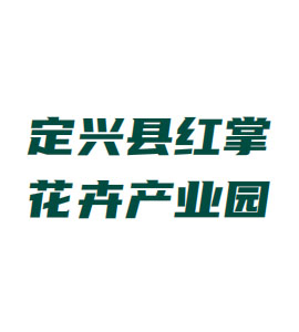 石家庄定兴县红掌花卉产业园